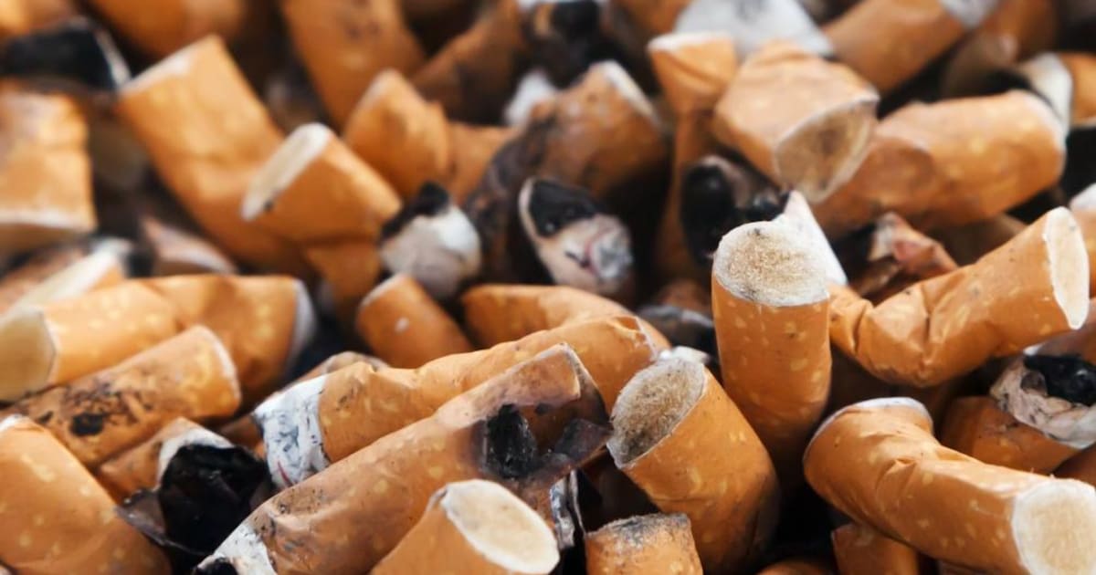 Provincia de Buenos Aires. Polémico: peligran 26.000 kioscos por un proyecto que busca prohibir la venta de cigarrillos en territorio bonaerense